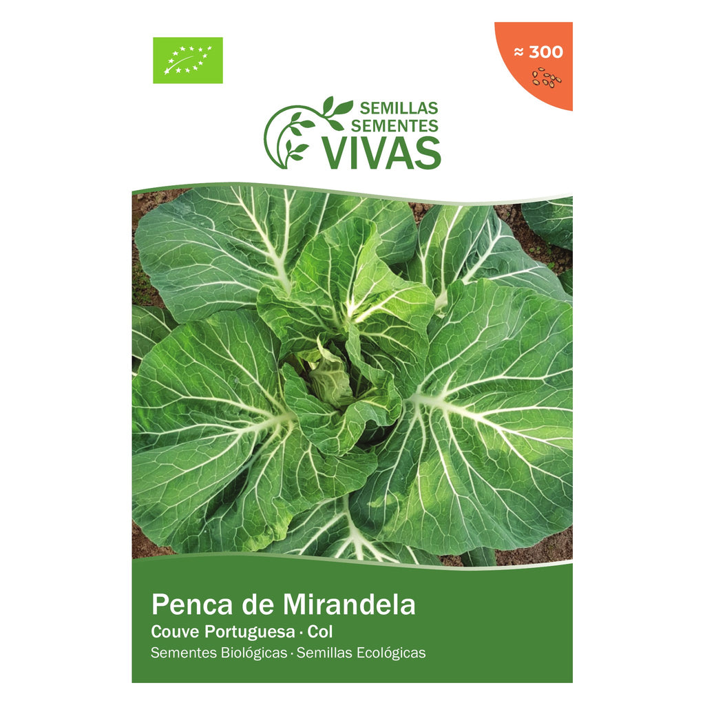 Col Penca de Mirandela – sobre, parte delantera