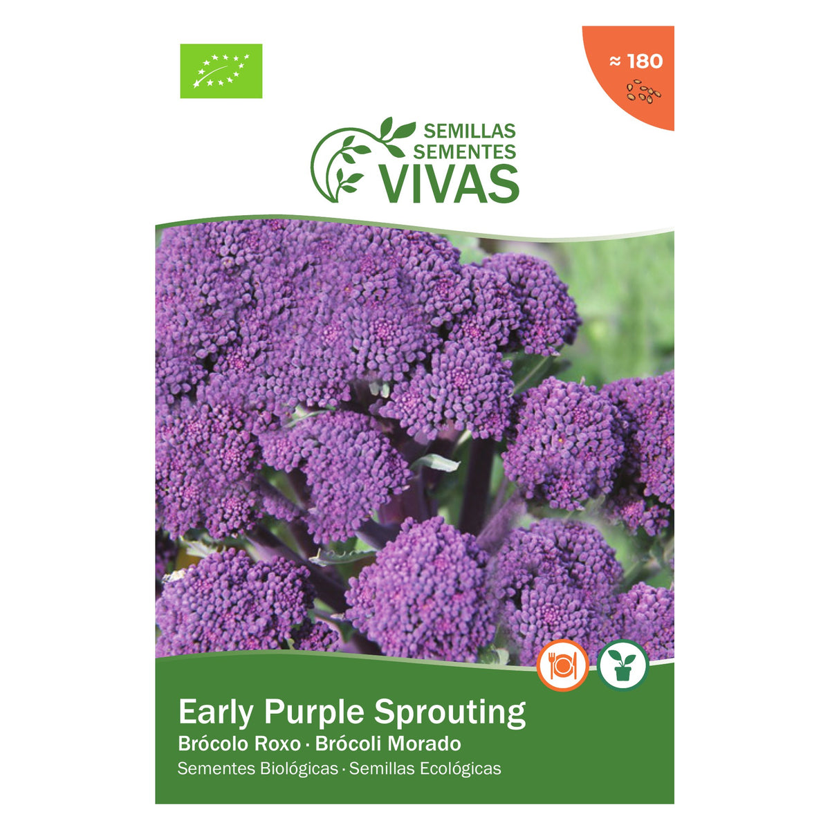Brócolo Early Purple Sprouting – frente