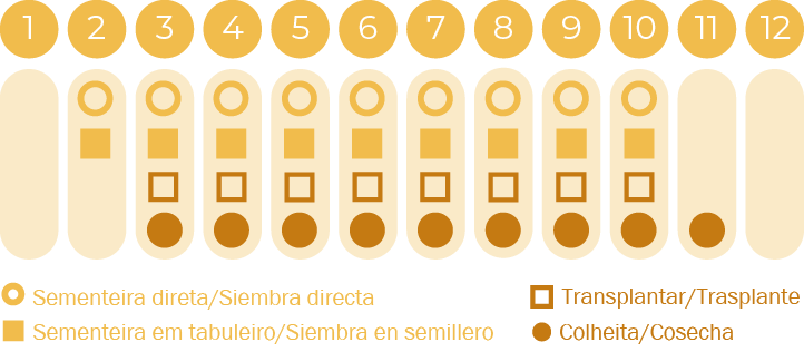 Endro