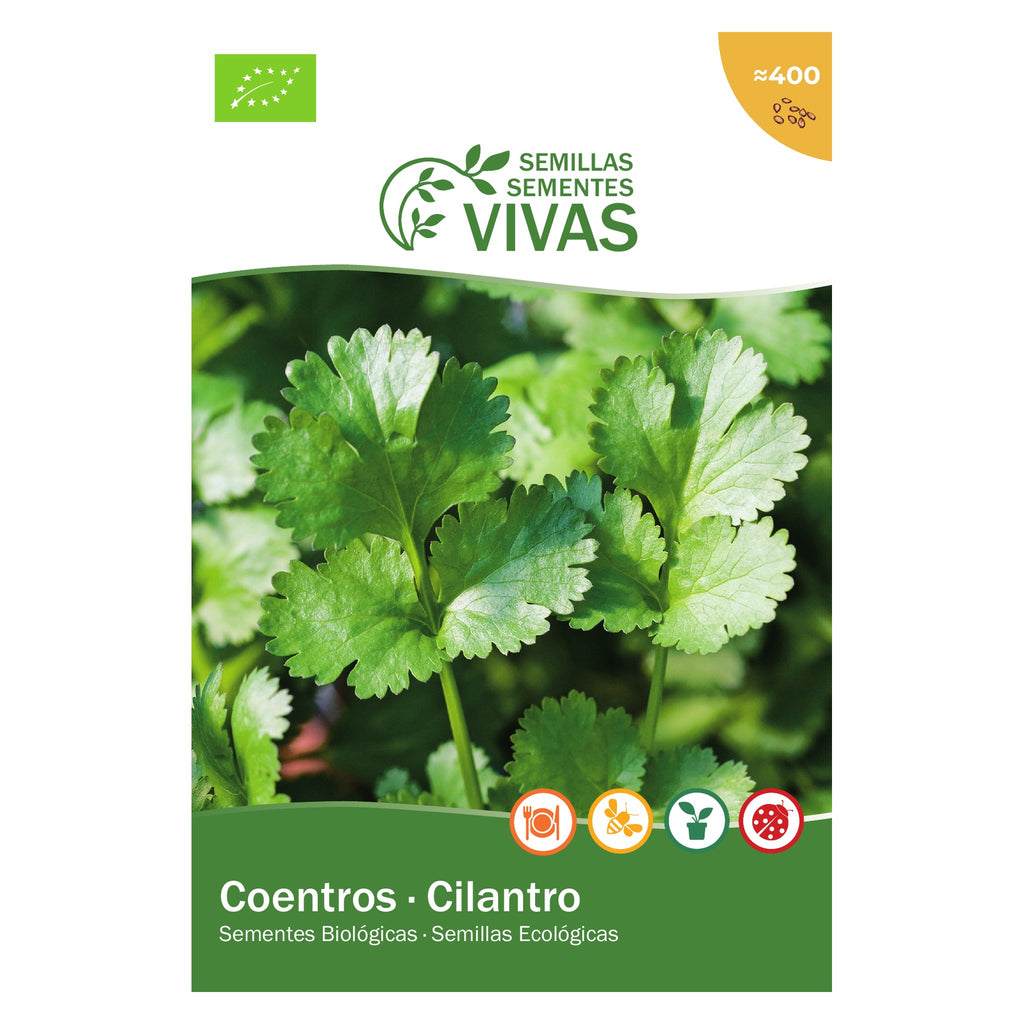 Coentros – frente