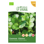 Coentros – frente
