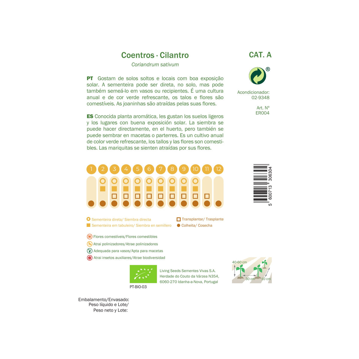 Coentros – verso