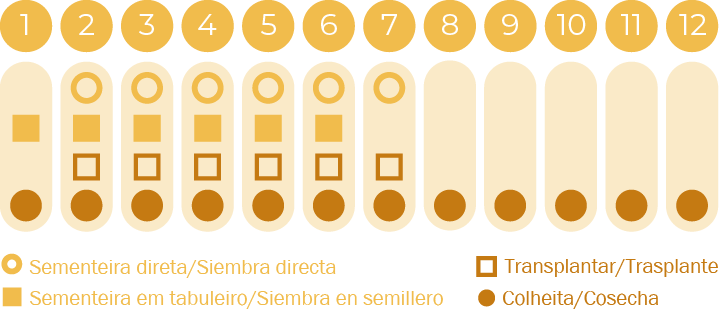 Cebolinho Commune