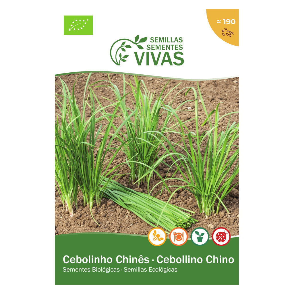 Cebolinho Chinês – frente