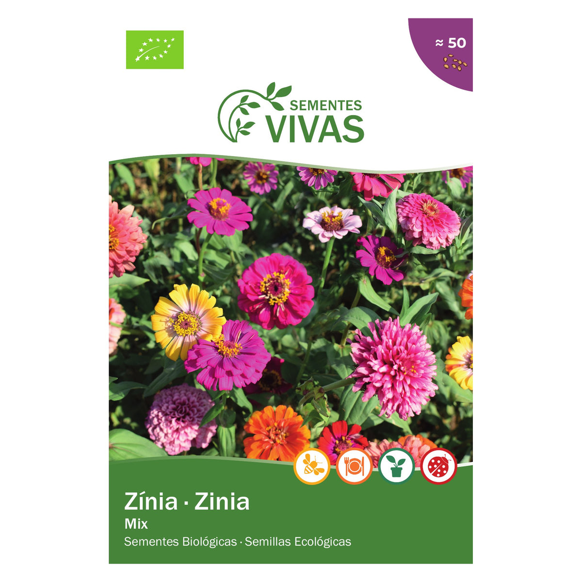 Zínia Mix – frente