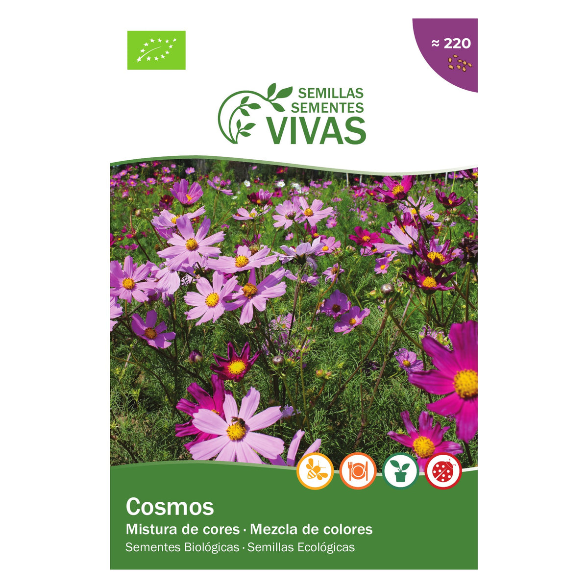 Cosmos Mix – frente