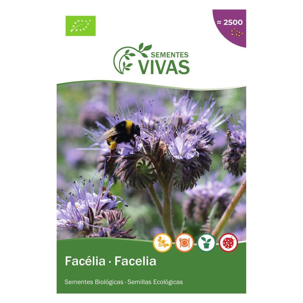 Facélia – frente