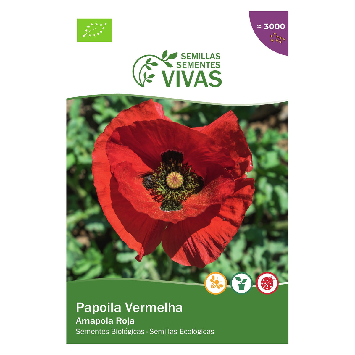 Papoila Vermelha – frente