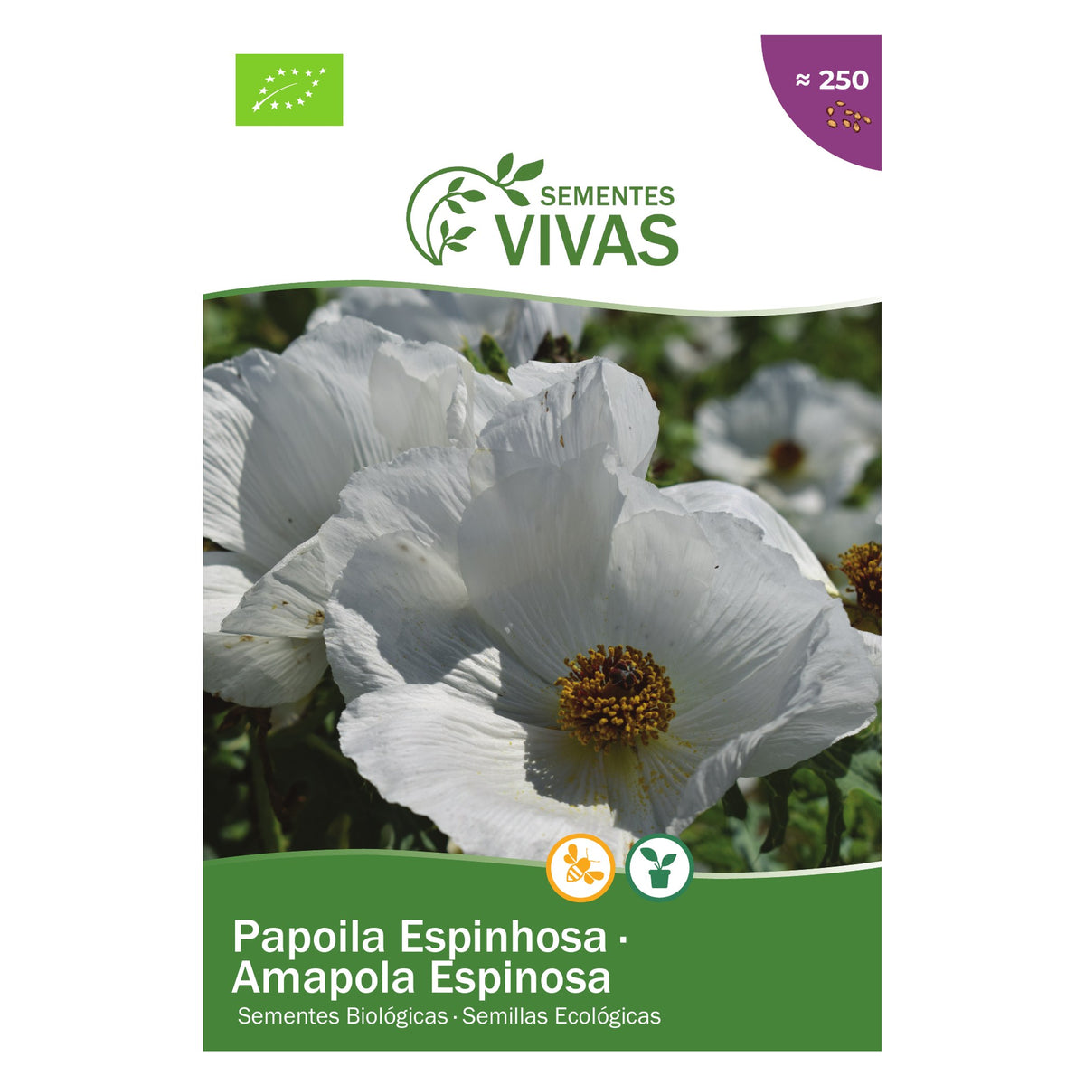 Papoila Espinhosa – frente