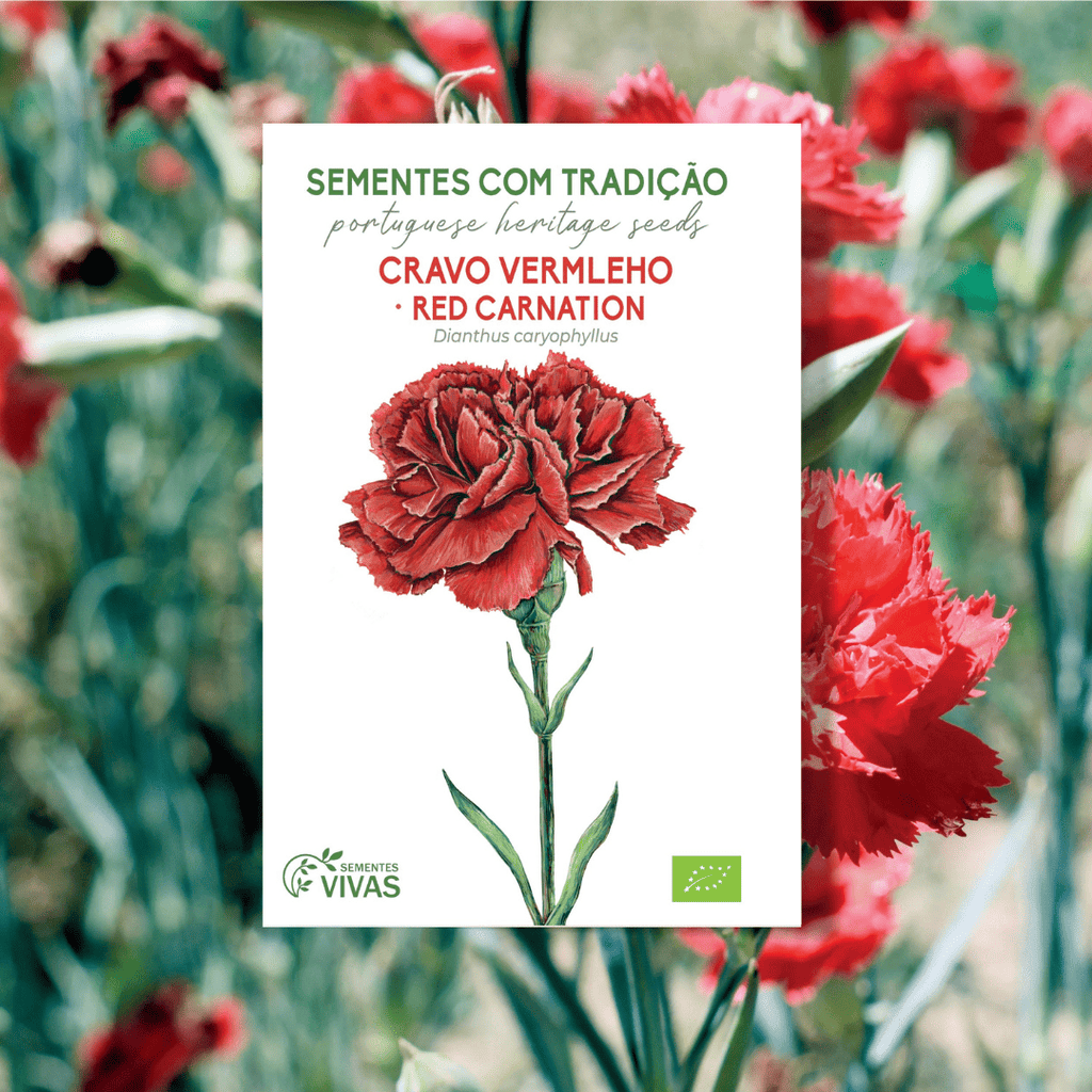 Cravo Vermelho
