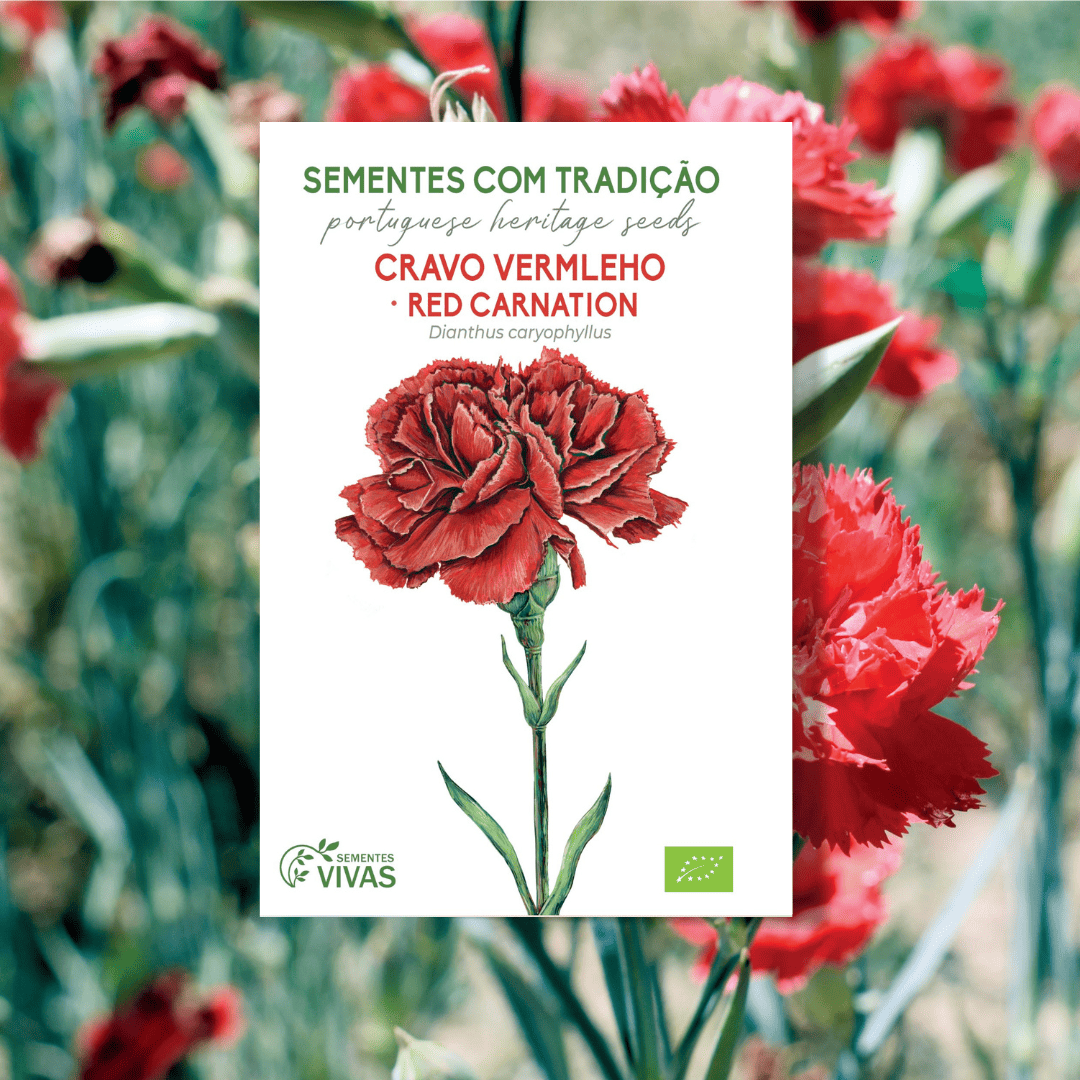 Cravo Vermelho