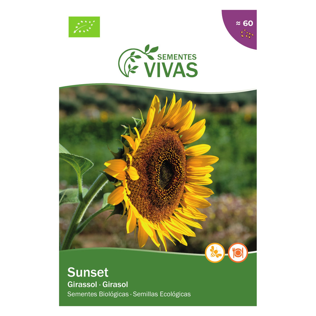 Girassol Sunset – frente