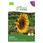 Girassol Sunset – frente