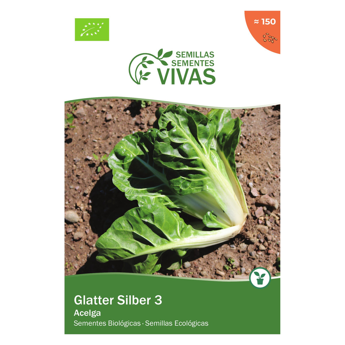 Acelga Glatter Silber – frente