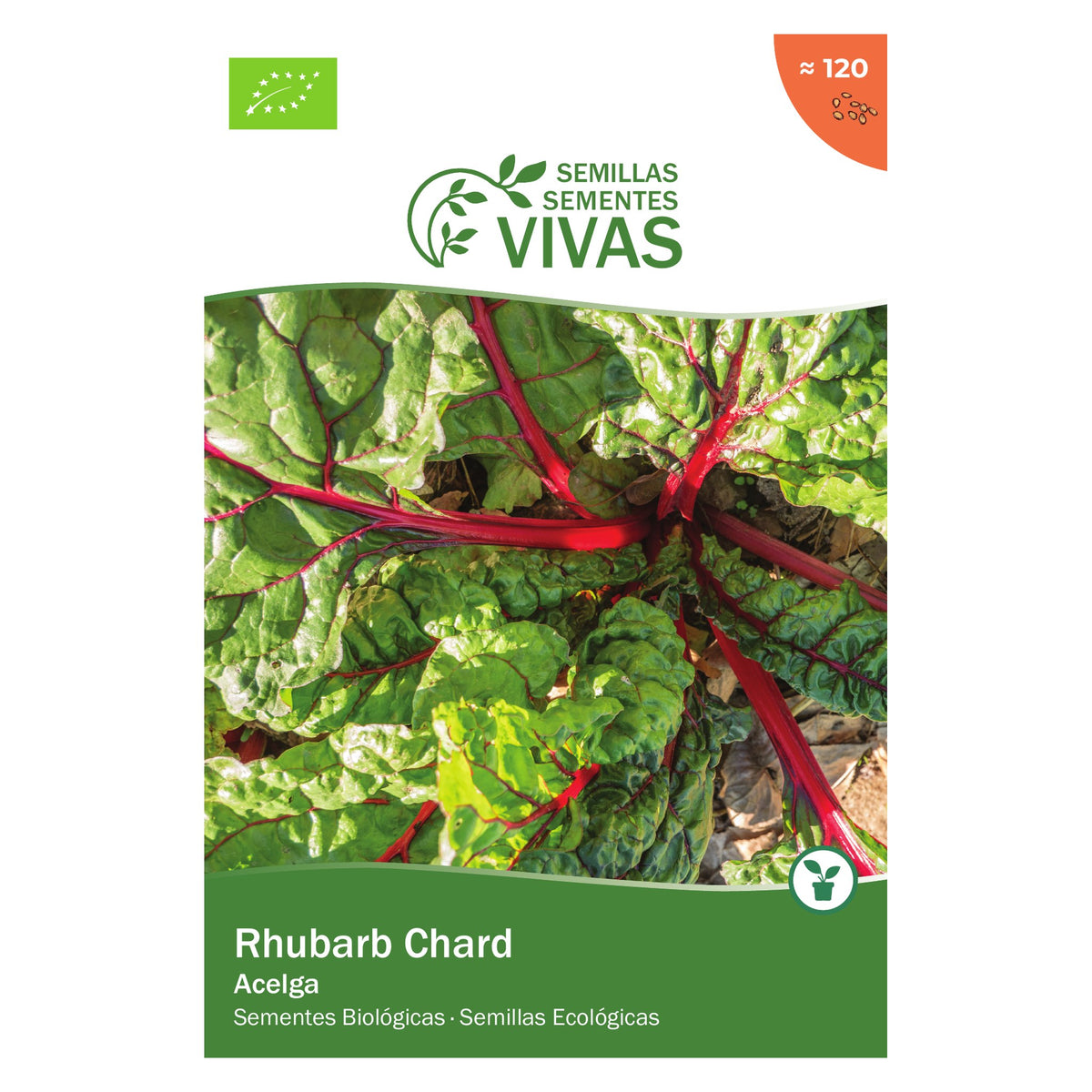 Acelga Rhubarb Chard – frente