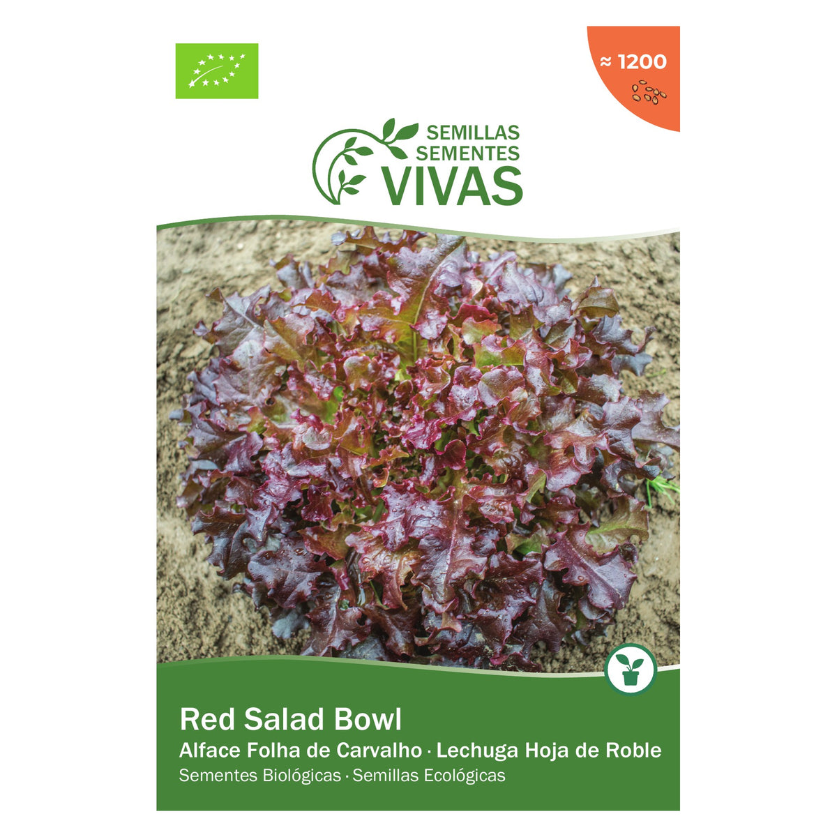 Alface Red Salad Bowl – frente