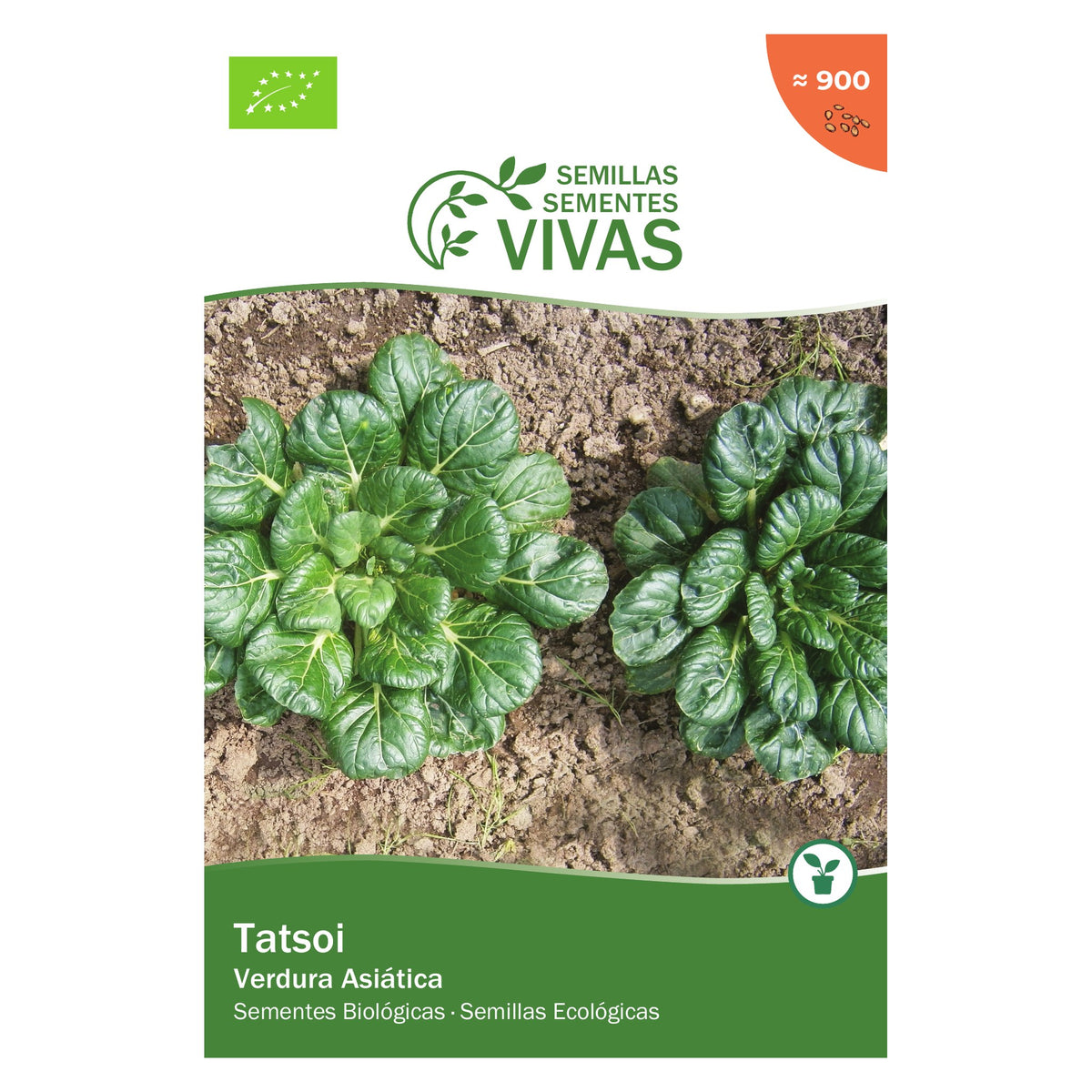 Verdura Asiática Tatsoi – frente