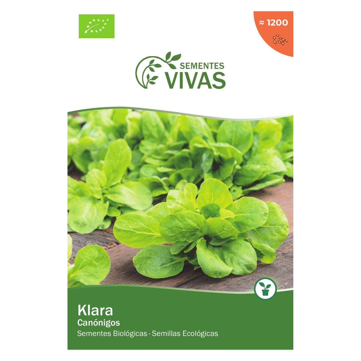 Canónigos Klara – frente