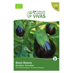 Beringela Black Beauty – frente