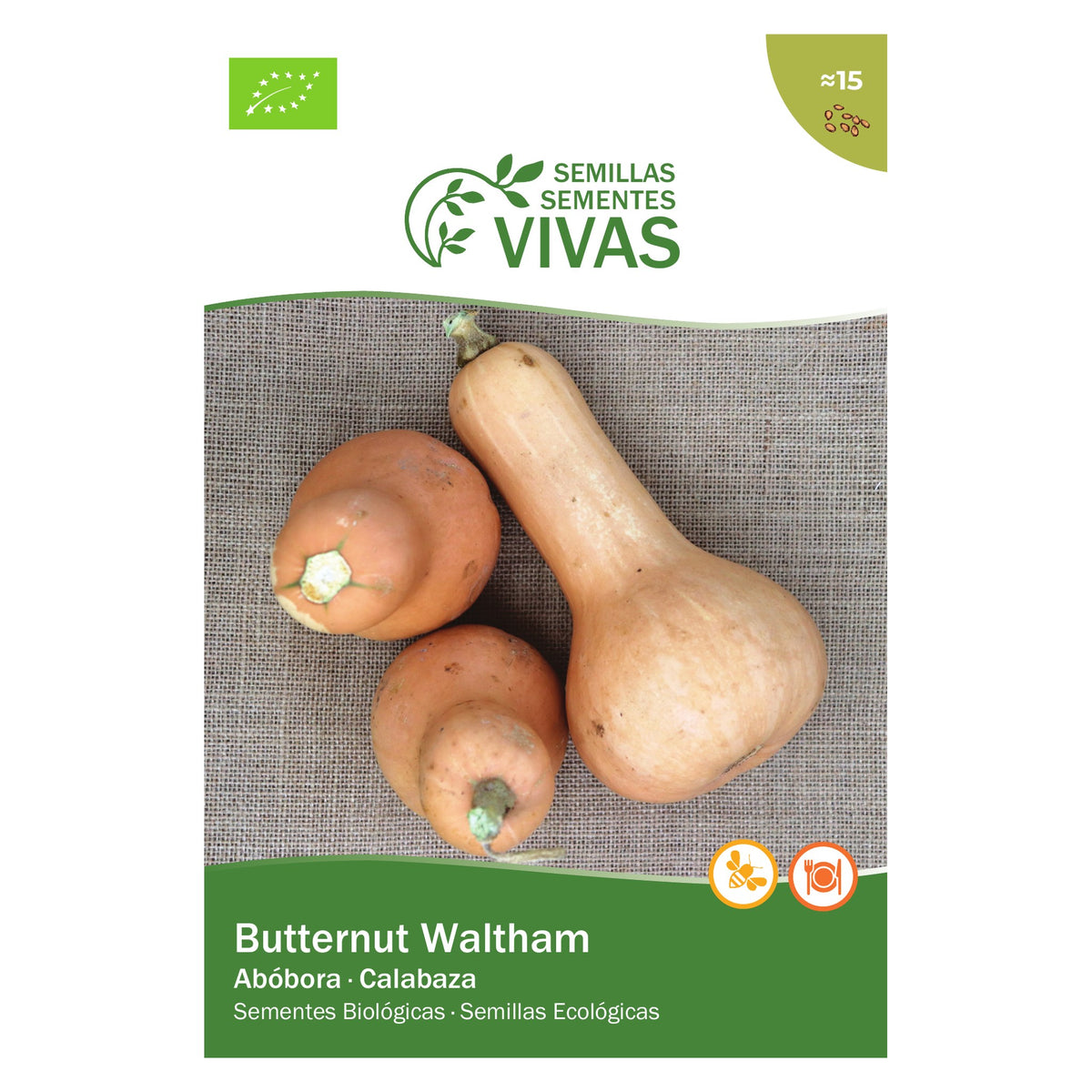 Abóbora Butternut – frente