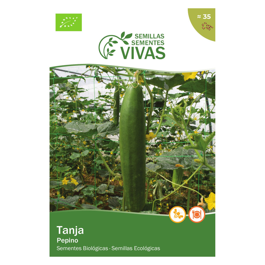 Pepino Tanja – frente