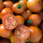 Tomate Floradade