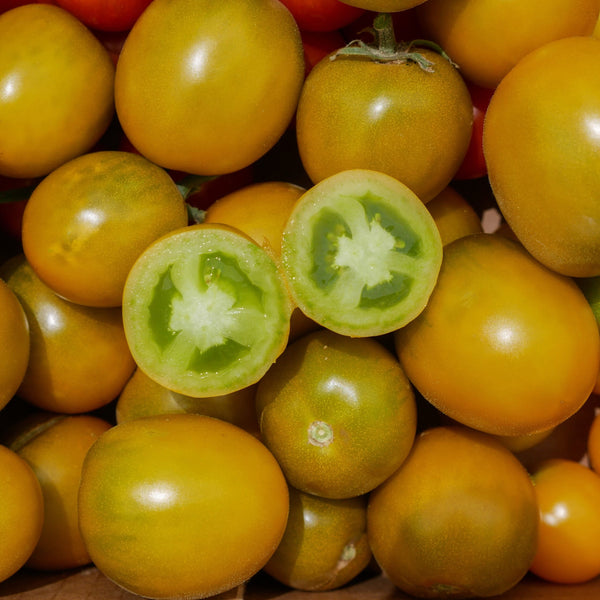 Tomate Green Grape