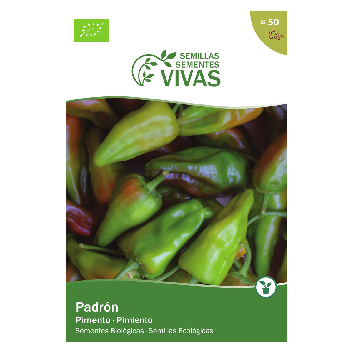 Pimento Padrón – frente