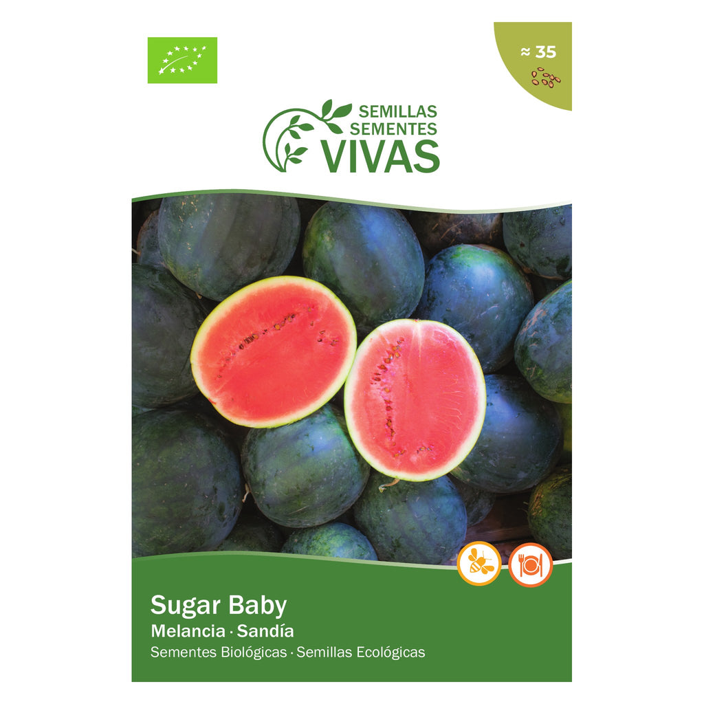 Melancia Sugar Baby – frente