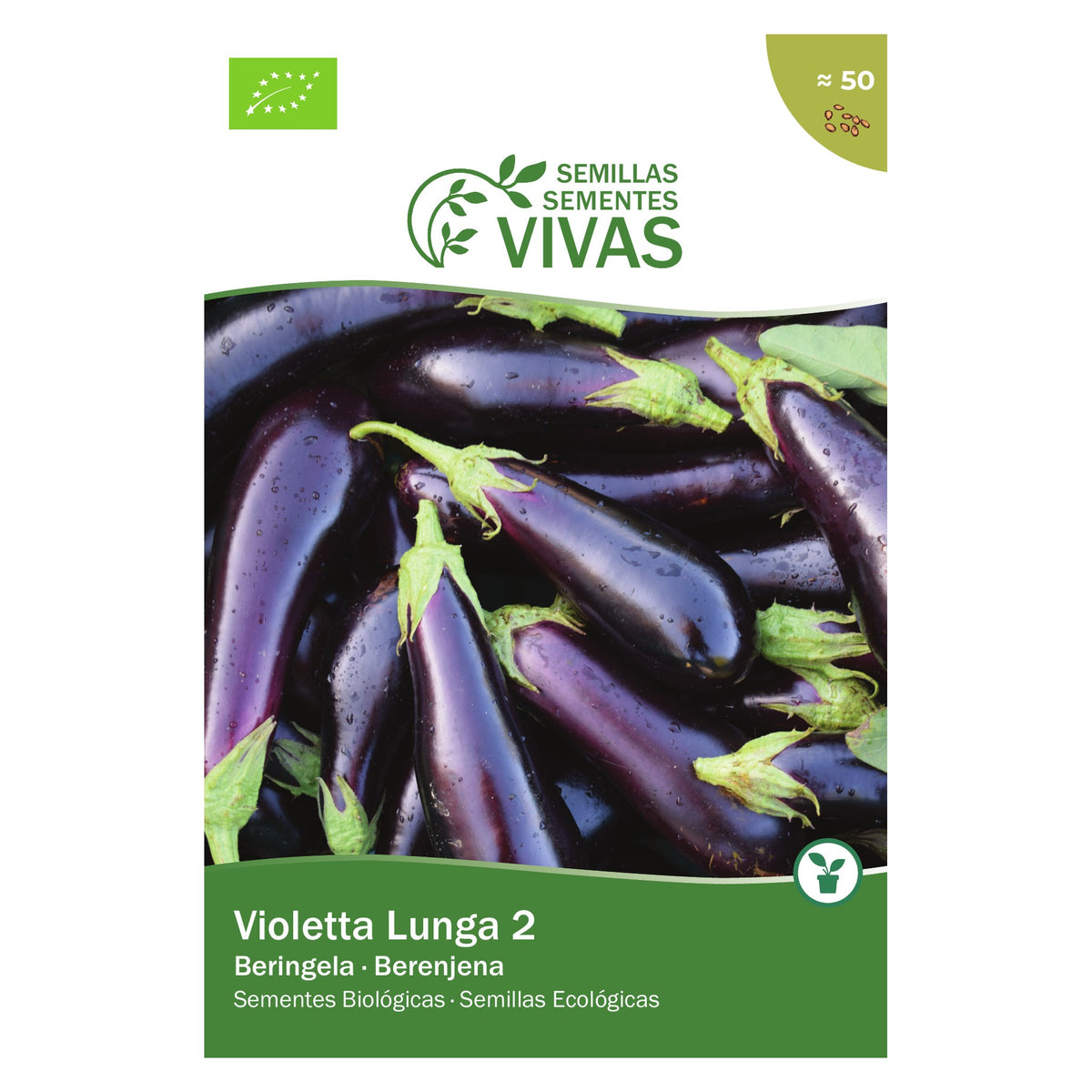 Beringela Violetta Lunga 2 – frente