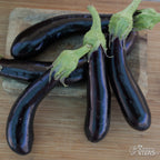 Beringela Violetta Lunga – Sementes Vivas