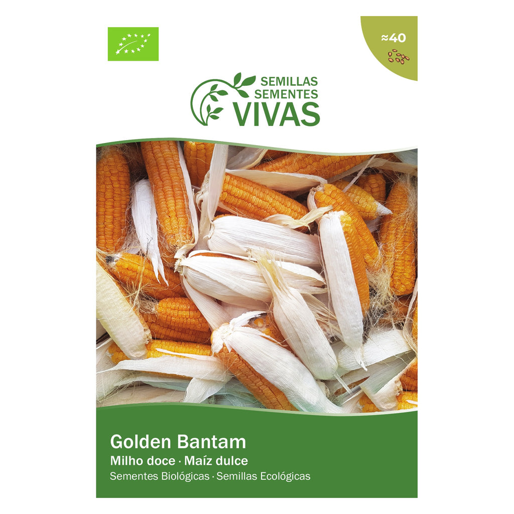 Milho Doce Golden Bantam – frente