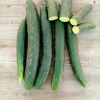 Pepino Arola