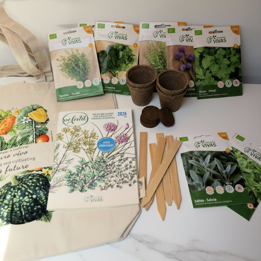 Kit Horta de Aromáticas