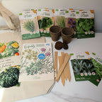 Kit Horta de Aromáticas