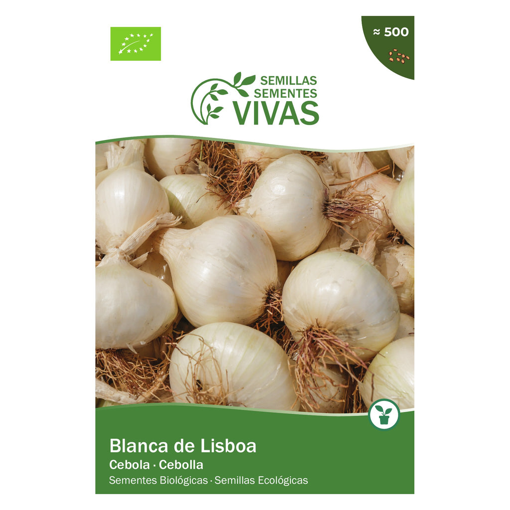 Cebola Branca de Lisboa – frente