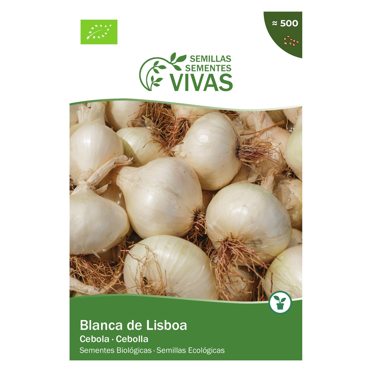 Cebola Branca de Lisboa – frente