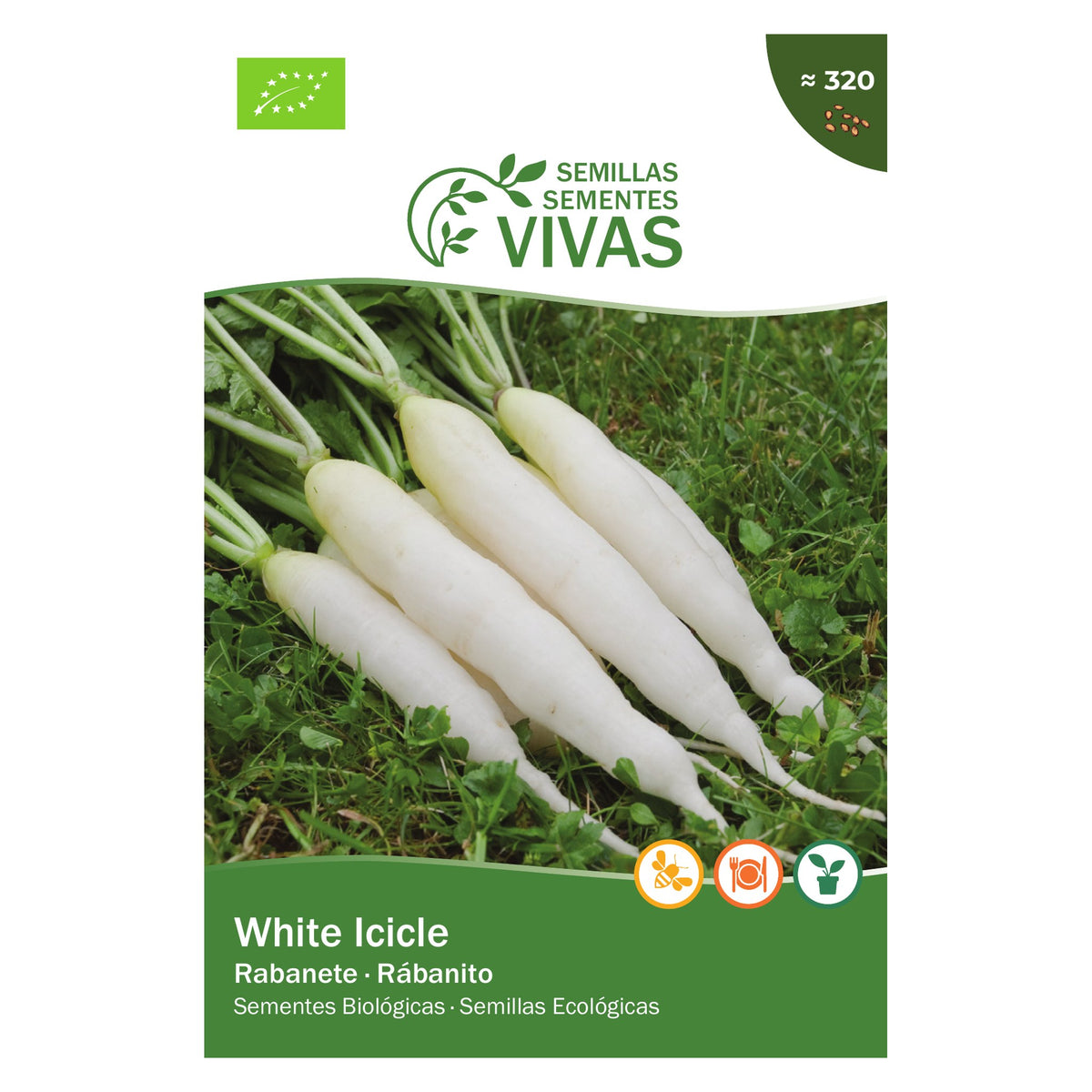 Rabanete White Icicle – frente