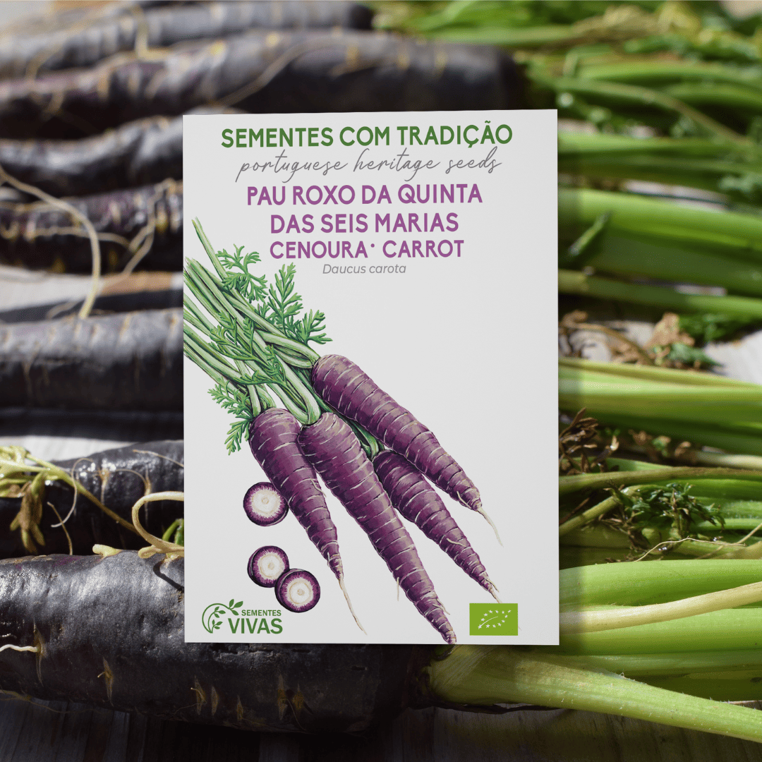 Cenoura Pau Roxo das Seis Marias