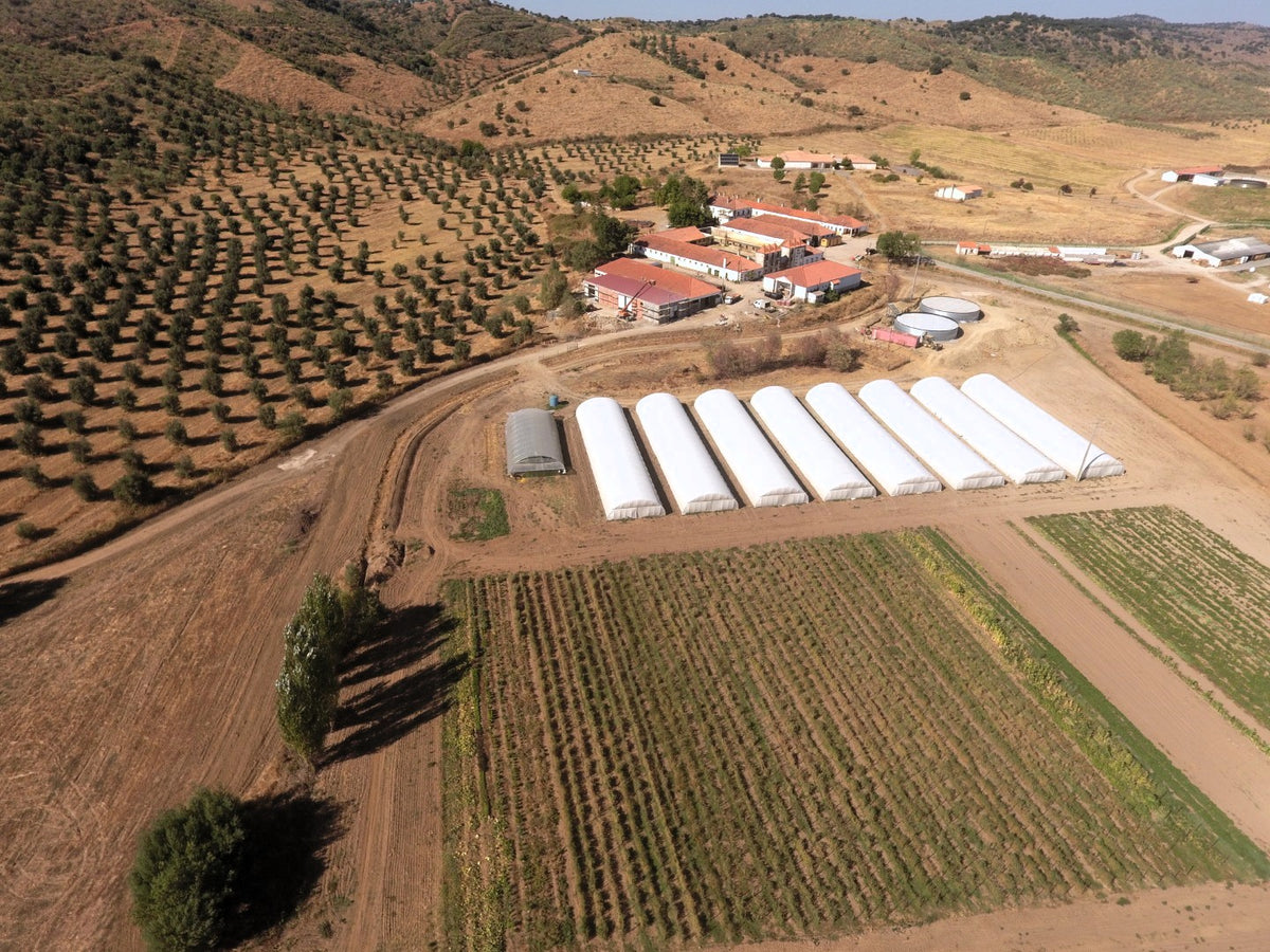 Edifício rural de pedra recuperado