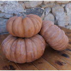 Abóbora Muscat de Provence