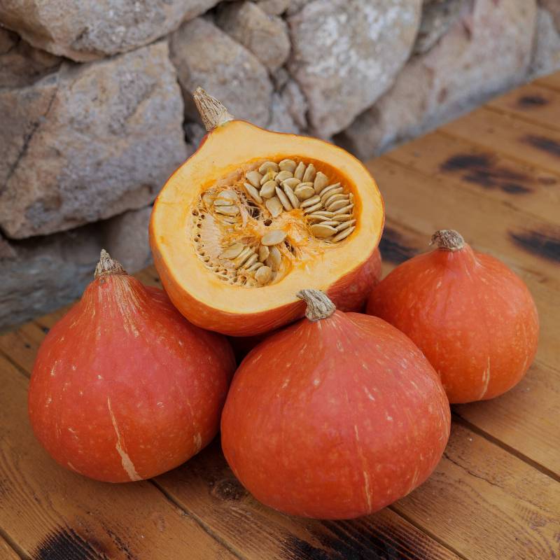 Abóbora Red Kuri