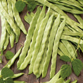 Feijao Verde Helda