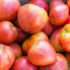 Tomate Coração de Boi