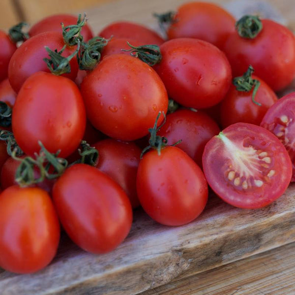 Tomate Principe Borghese