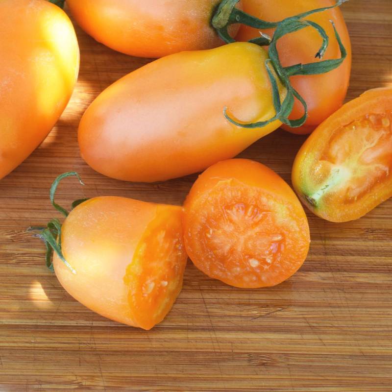 Tomate 'Orange Banana'