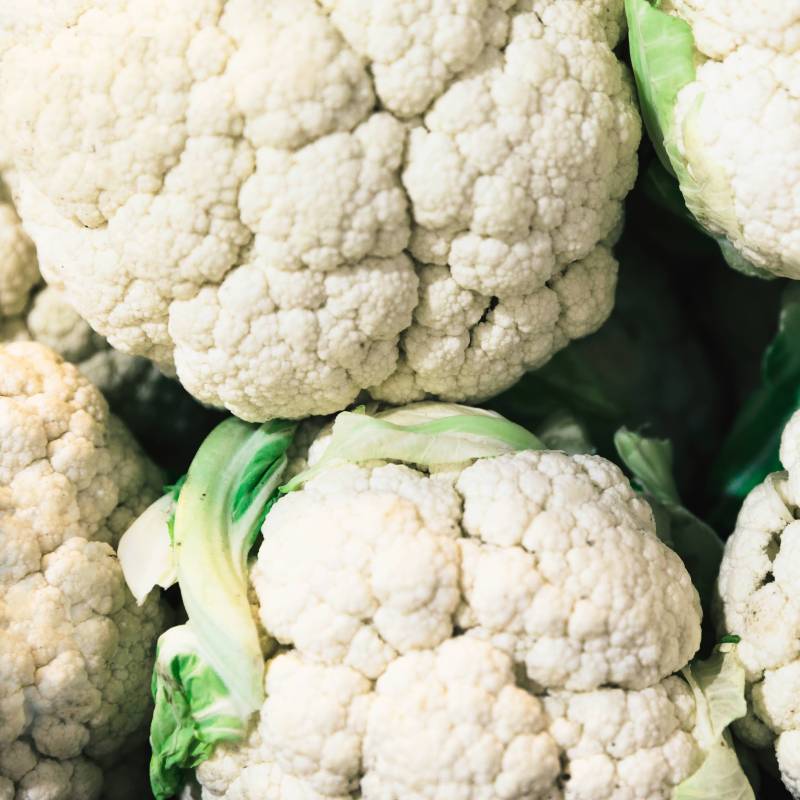 CO025_Couve-flor_Coliflor_Cauliflower_Bola-de-Neve_Sementes-Biologicas_Semillas-Ecologicas_Organic-Seeds_Sementes-Vivas_1