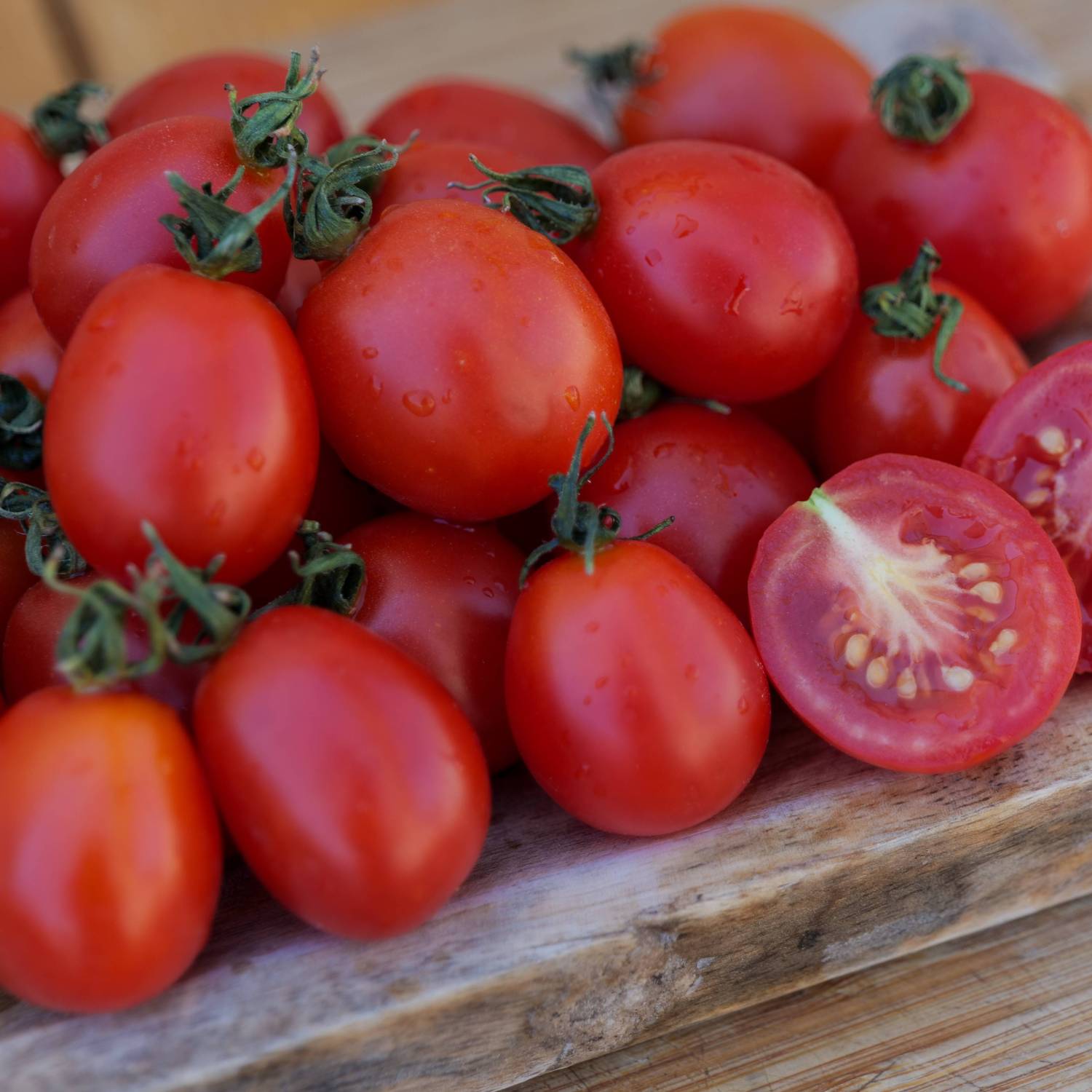 Tomato 'Principe Borghese' - Organic Seeds | Sementes Vivas