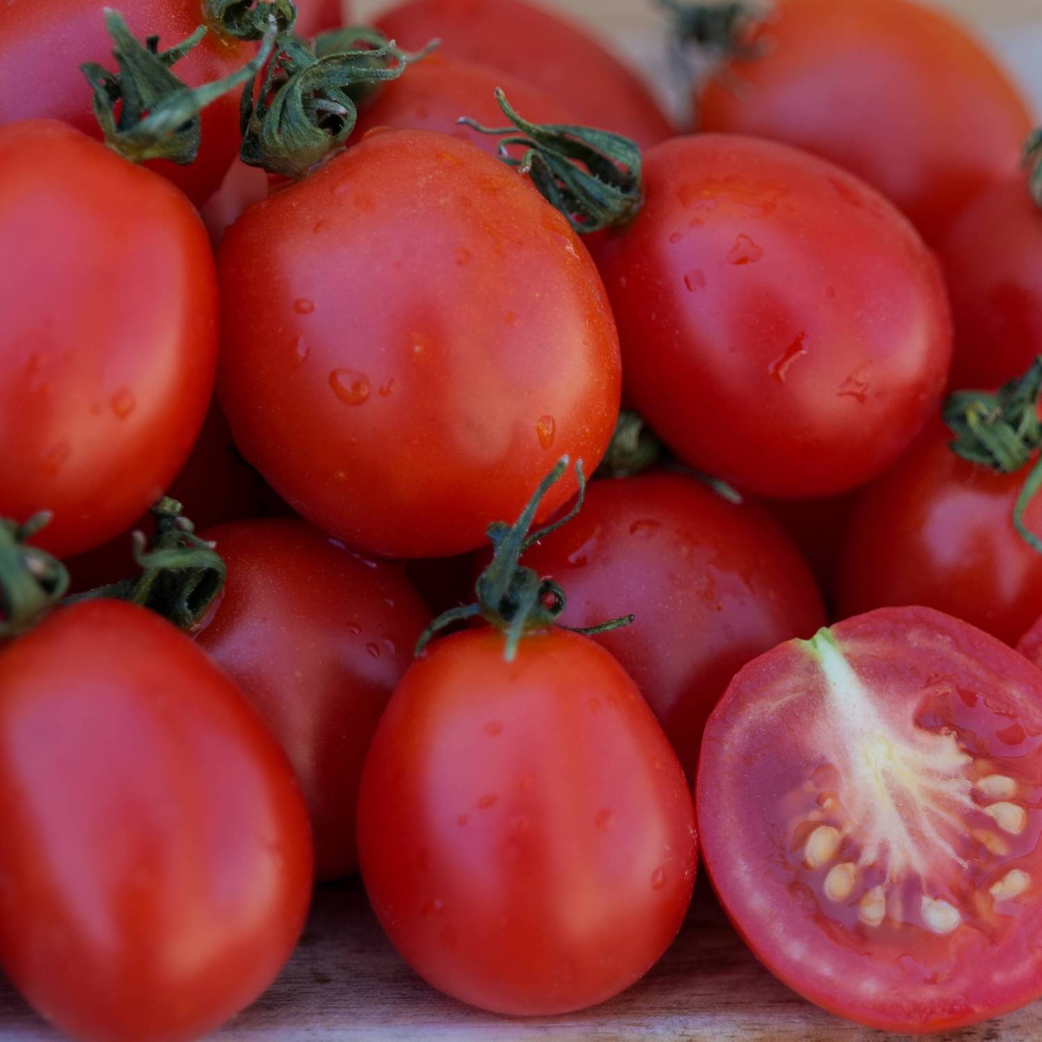 Tomato 'Principe Borghese' - Organic Seeds | Sementes Vivas