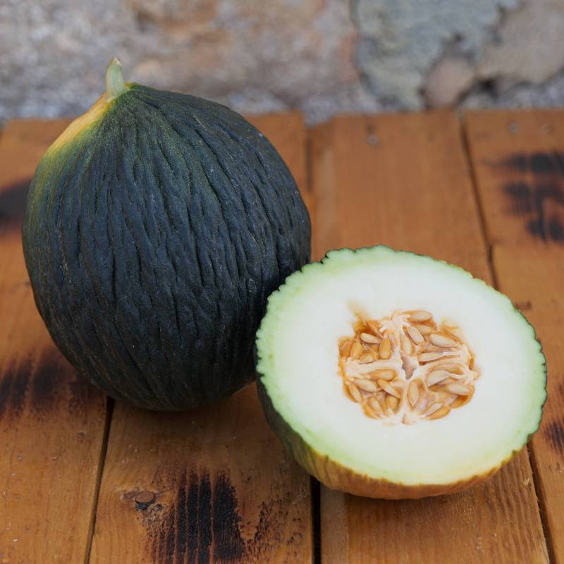 FR057_Melao__Melon_Tendral-Negro_Sementes-Biologicas_Semillas-Ecologicas_Organic-Seeds_Sementes-Vivas_1